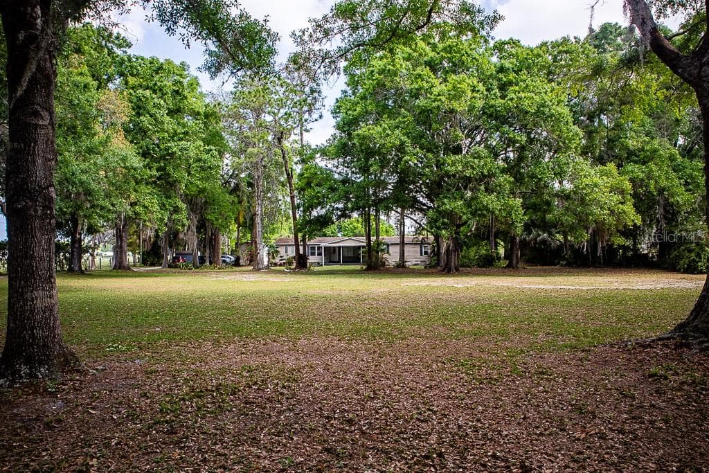 13815 PLAINVIEW ROAD photo 24