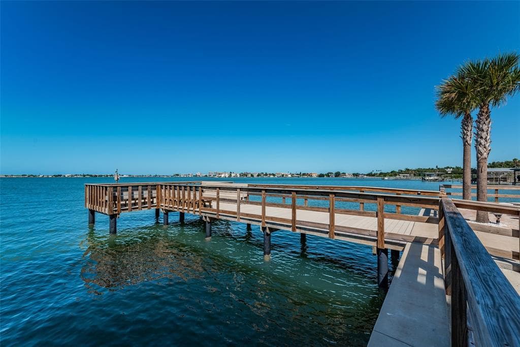 100 BLUFF VIEW DRIVE #608C 1