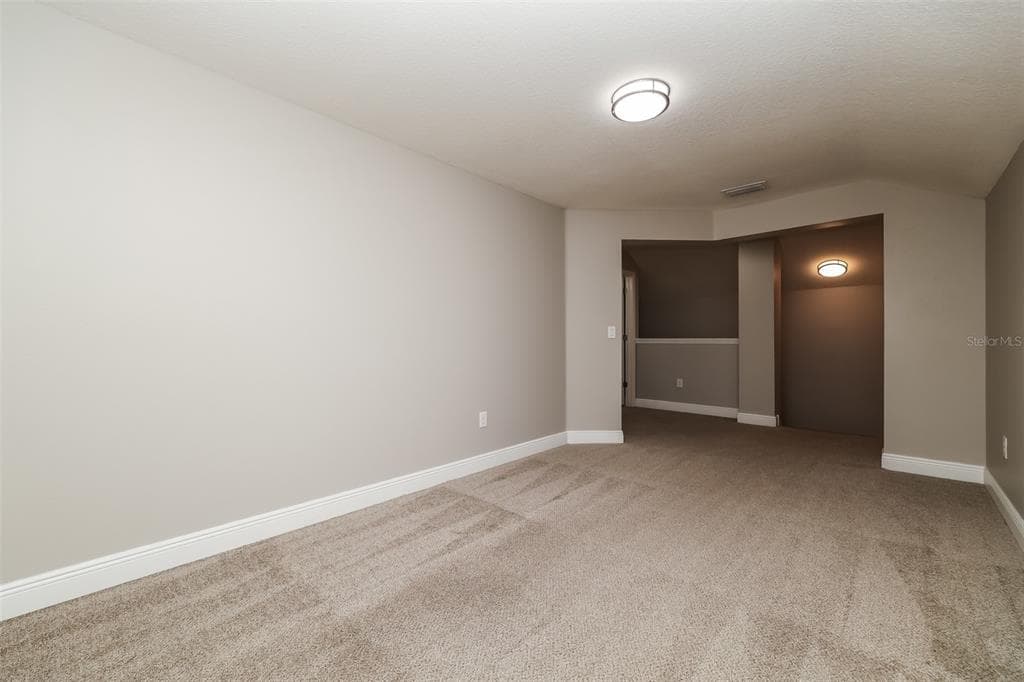 10152 CELTIC ASH DRIVE photo 18
