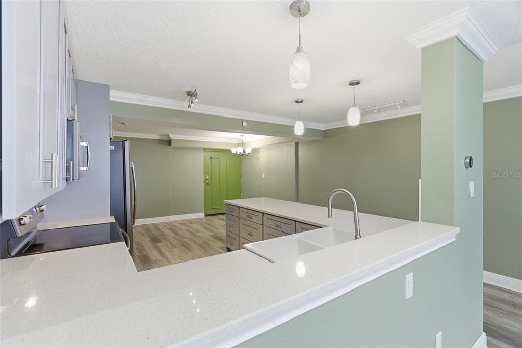 2413 BAYSHORE BOULEVARD 1004 photo 17