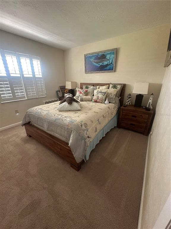 1640 JUNO TRAIL 102D photo 10