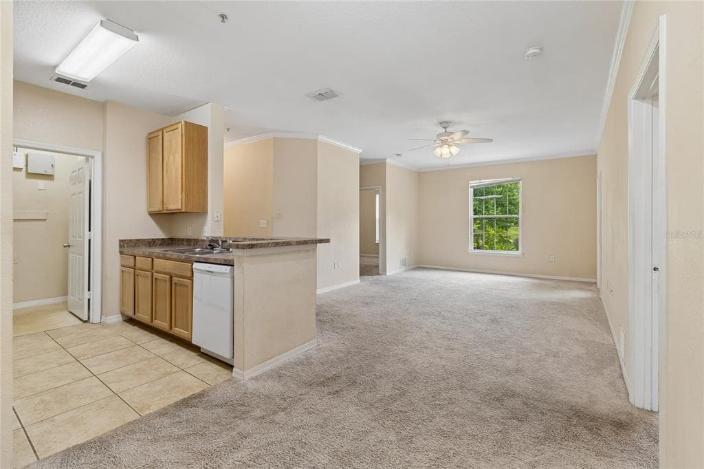 10203 COURTNEY PALMS BOULEVARD 103 photo 13