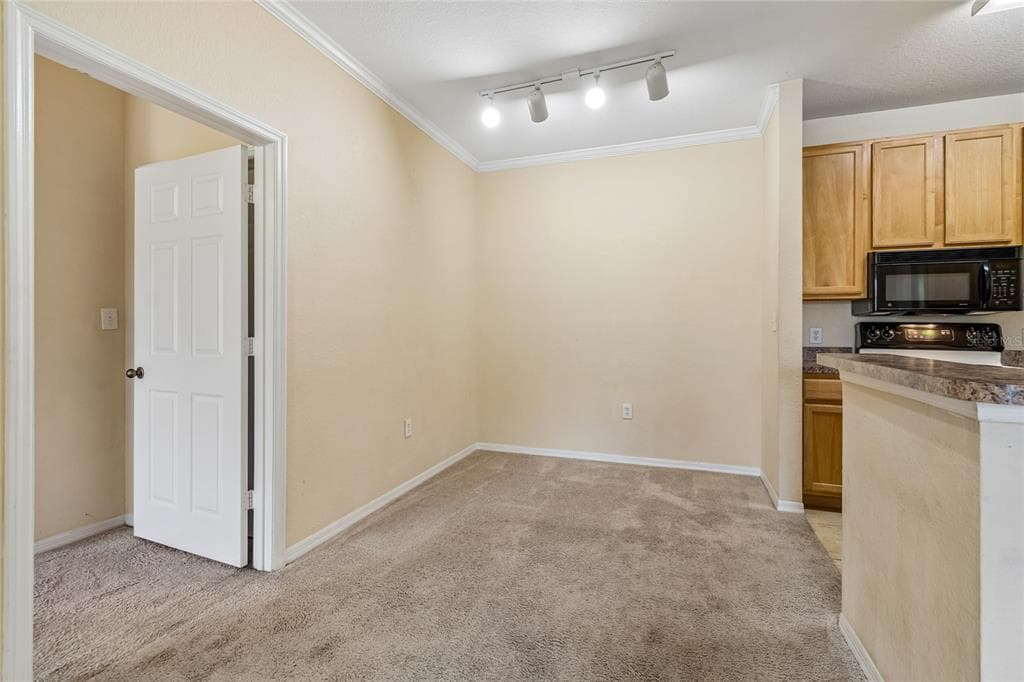 10203 COURTNEY PALMS BOULEVARD 103 photo 11