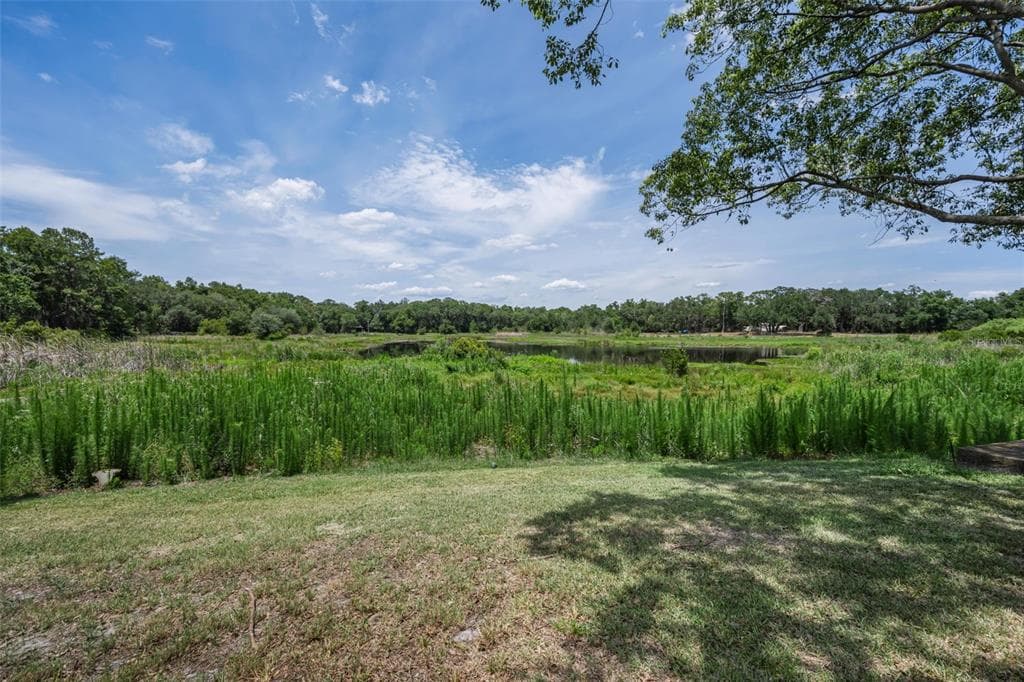 12603 PECAN TREE DRIVE photo 7