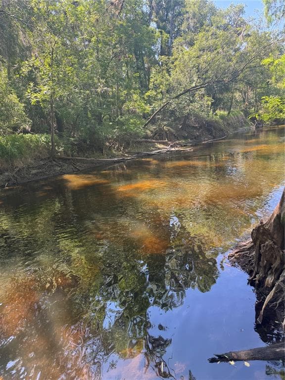 4405 COCONUT COVE PLACE photo 4