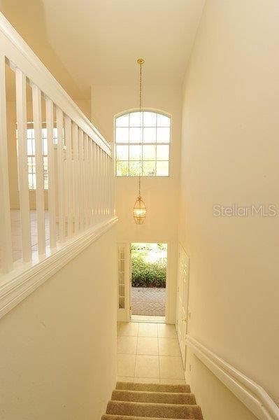 7106 PROSPERITY CIRCLE 1201 photo 18