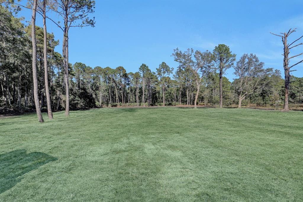 141 WOODS ROAD photo 10