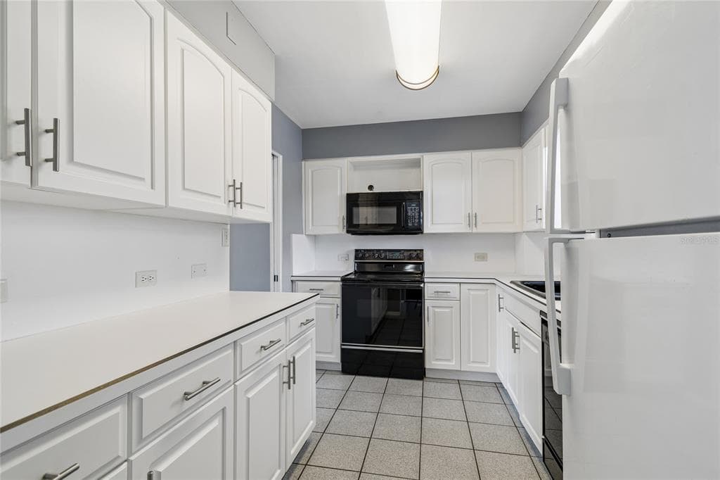 1365 N SNELL ISLE BOULEVARD NE 2E photo 5