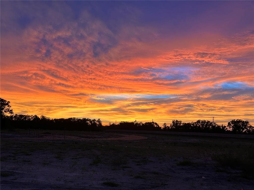 12211 VIOLET JASPER DRIVE photo 2