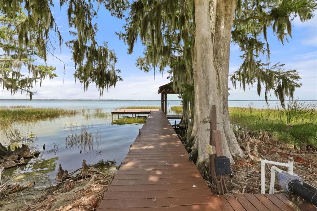 32749 LAKE EUSTIS DRIVE photo 9