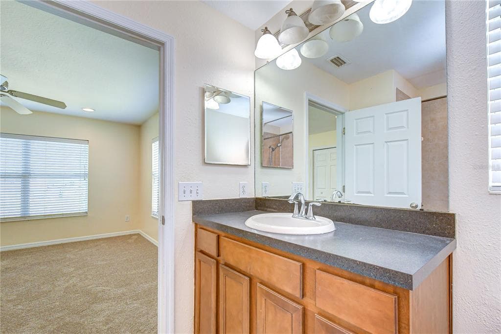 6919 TOWERING SPRUCE DR photo 22