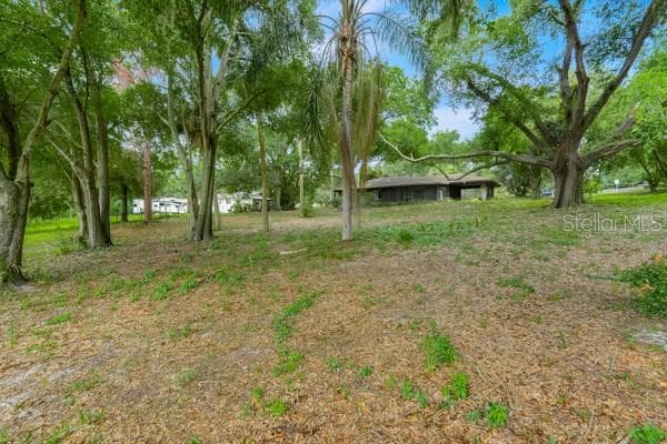 14436 CLERANDO DR photo 25