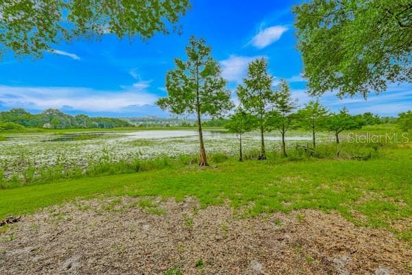 14436 CLERANDO DR photo 22