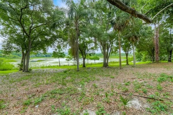 14436 CLERANDO DR photo 23