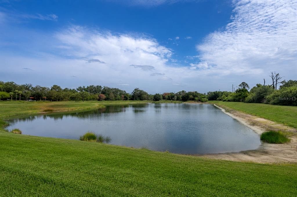 9310 BLUEBERRY ASH CIRCLE photo 4