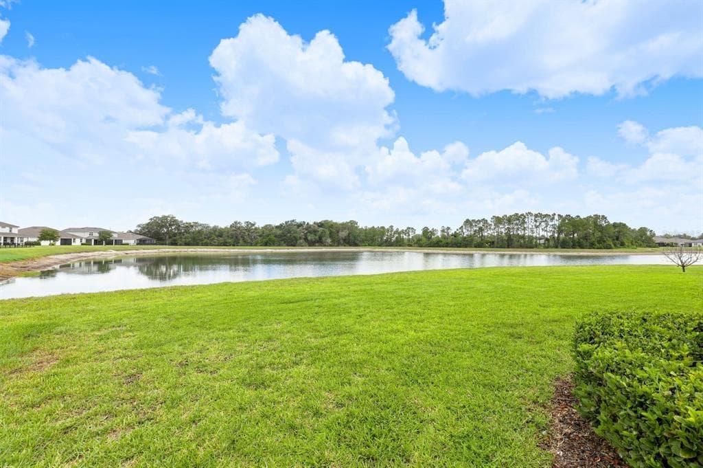 10708 PLANER PICKET DRIVE photo 13