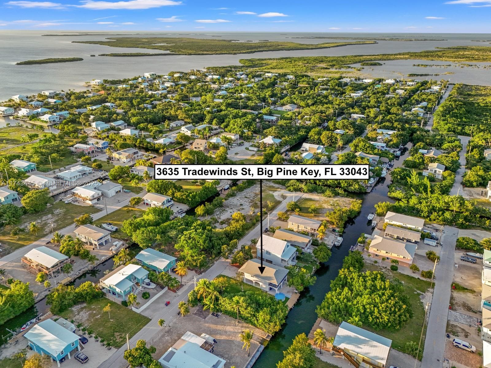 3635 Trade Winds St photo 6