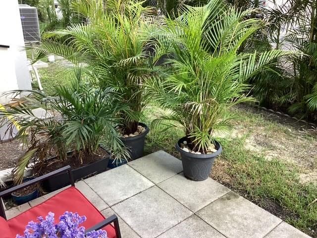 3133 Ocean Dr 118 photo 24