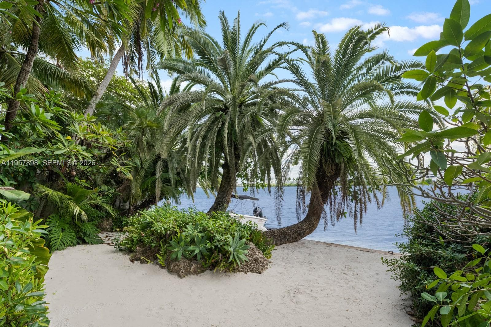 16 Palm Ave photo 13