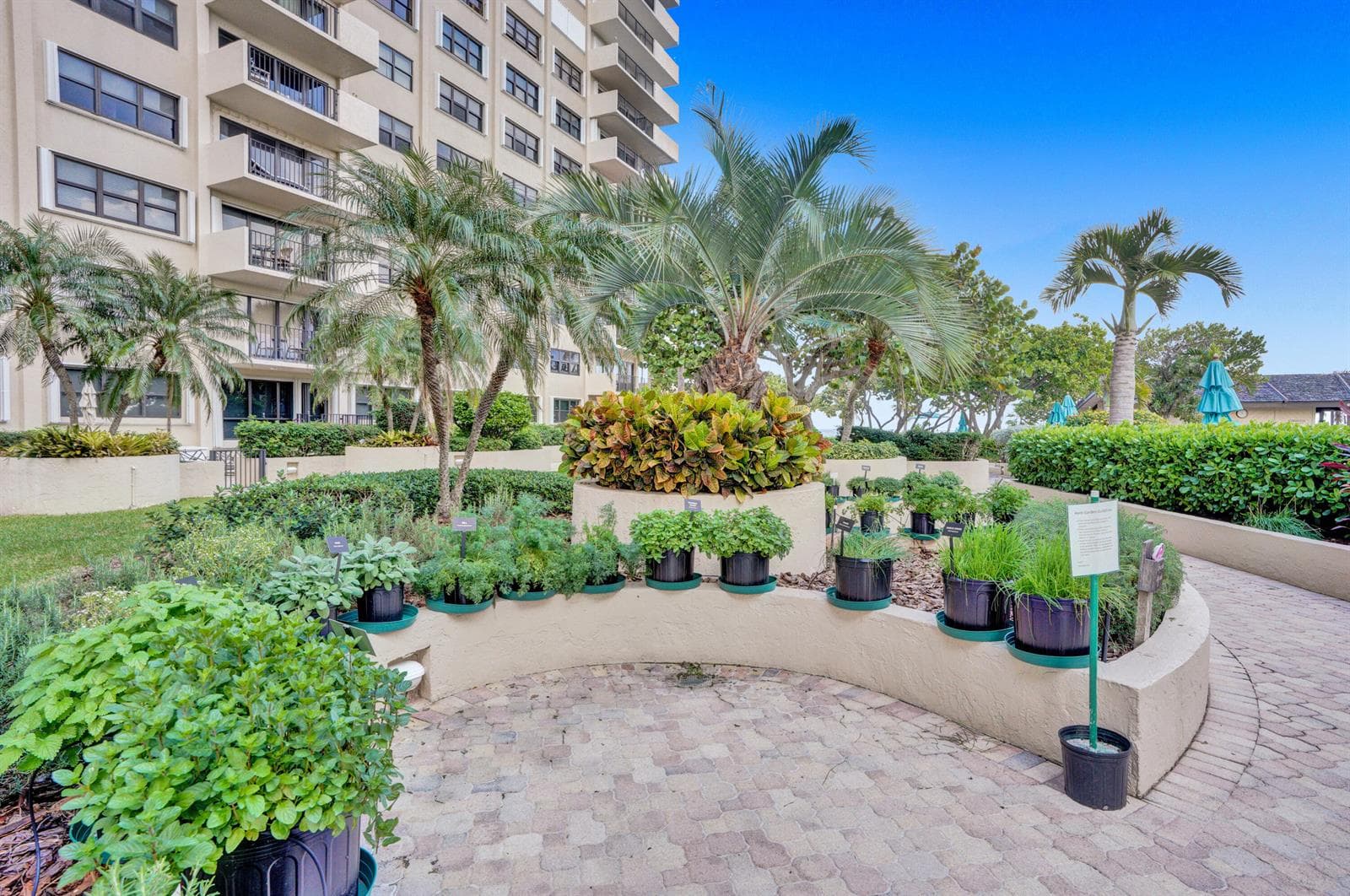 5000 N Ocean Boulevard 208 photo 25