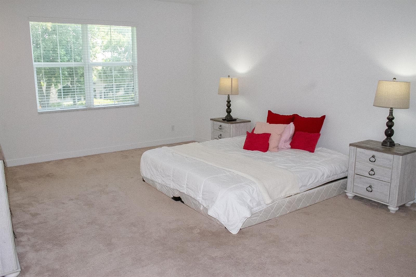 23045 Clear Echo Drive 76 photo 24
