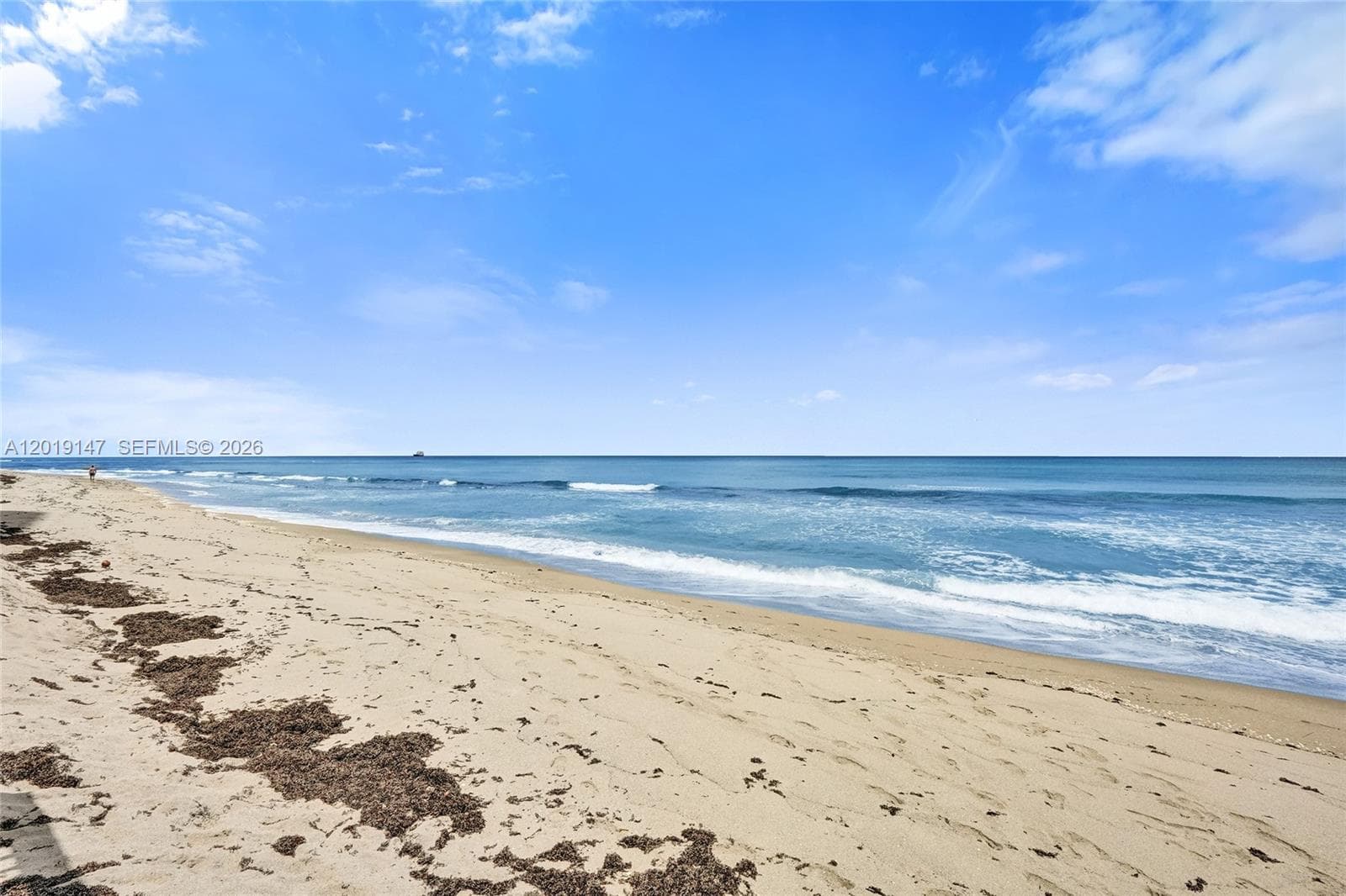 5420 Ocean Dr 2201 photo 15