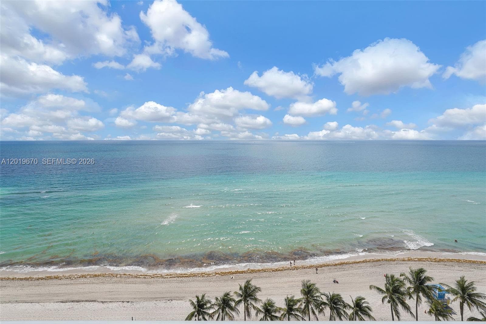 3001 S Ocean Dr 1611 photo 11
