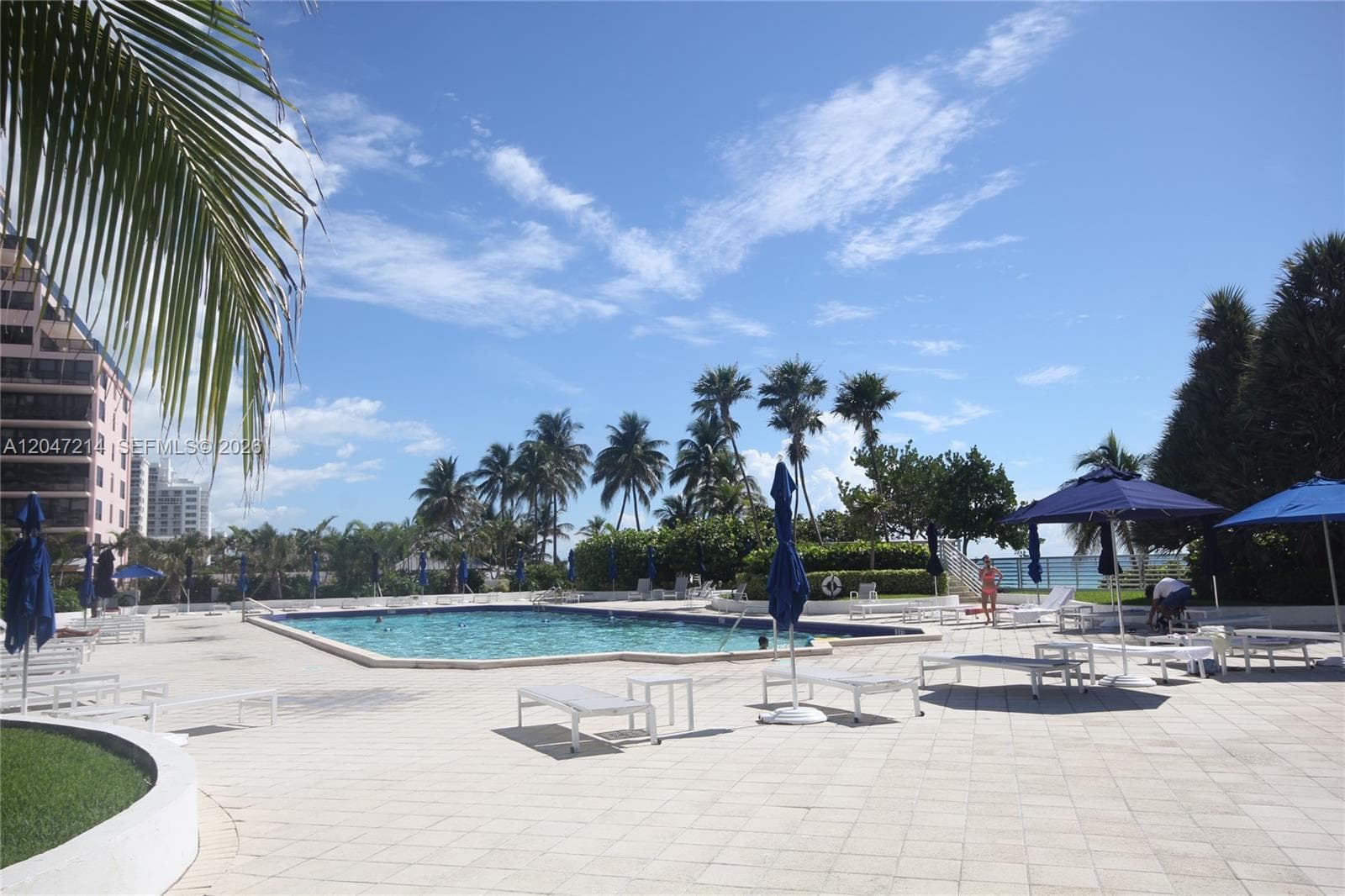 5151 Collins Ave 429 photo 25