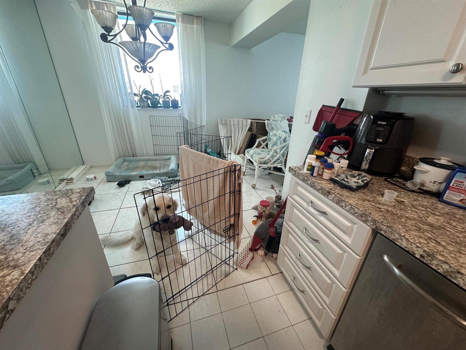5380 N Ocean Drive 4e photo 5