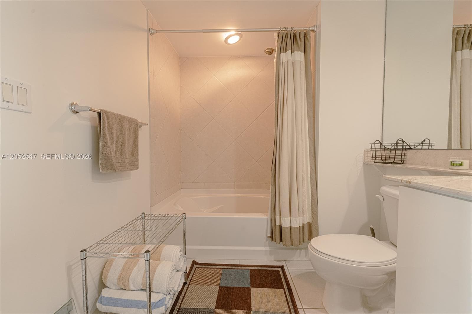 325 S Biscayne Blvd 2119 photo 9
