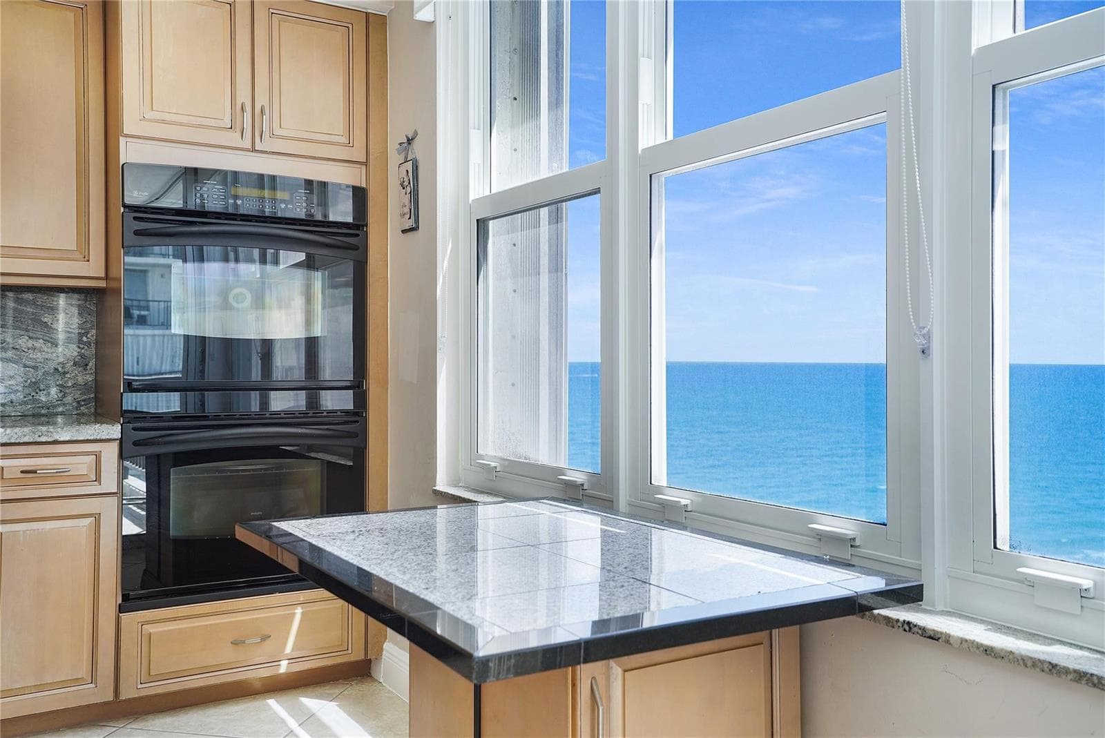 4280 Galt Ocean Drive 11J photo 4