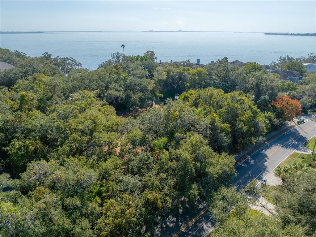6210 BAYSHORE BOULEVARD photo 11