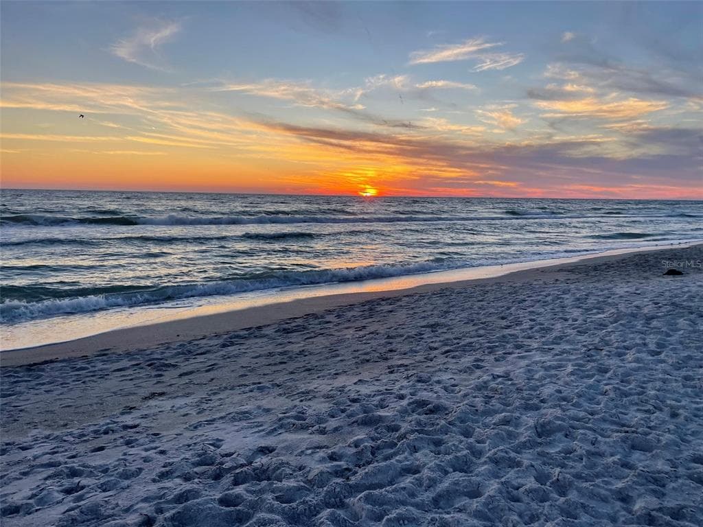 4621 GULF OF MEXICO DRIVE 10D photo 4
