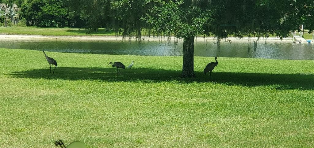 17933 PATTERSON ROAD photo 15