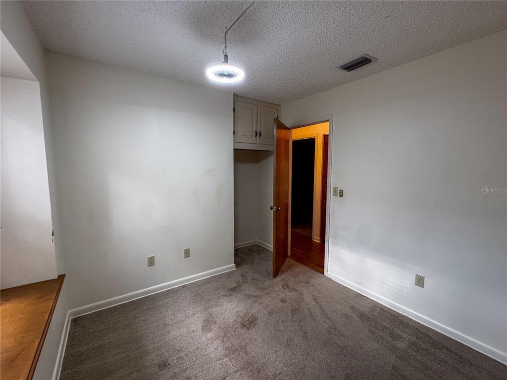 114 MANDARIN LAKE ROAD photo 12