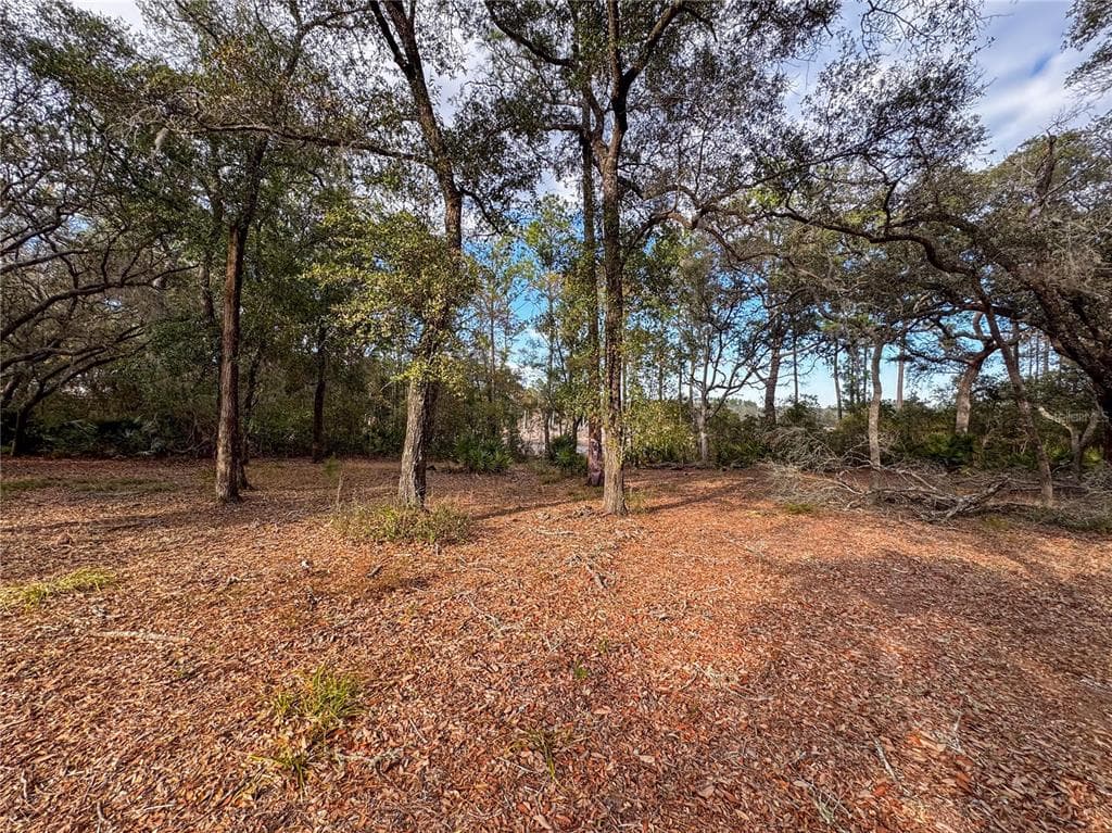 114 MANDARIN LAKE ROAD photo 19