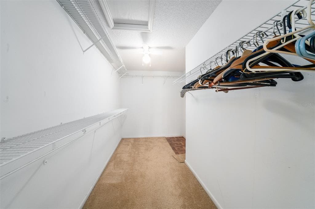 3162 E VILLAGE DRIVE photo 23