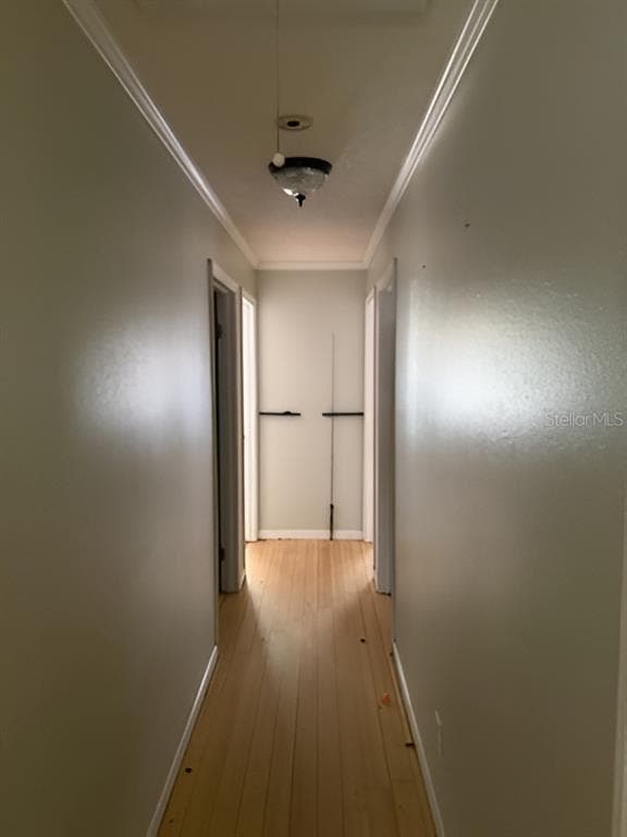 101 WALKER DRIVE photo 10