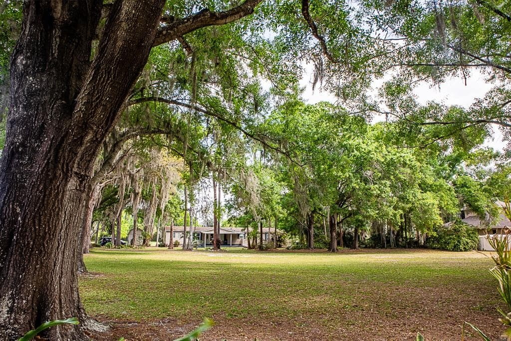 13815 PLAINVIEW ROAD photo 23