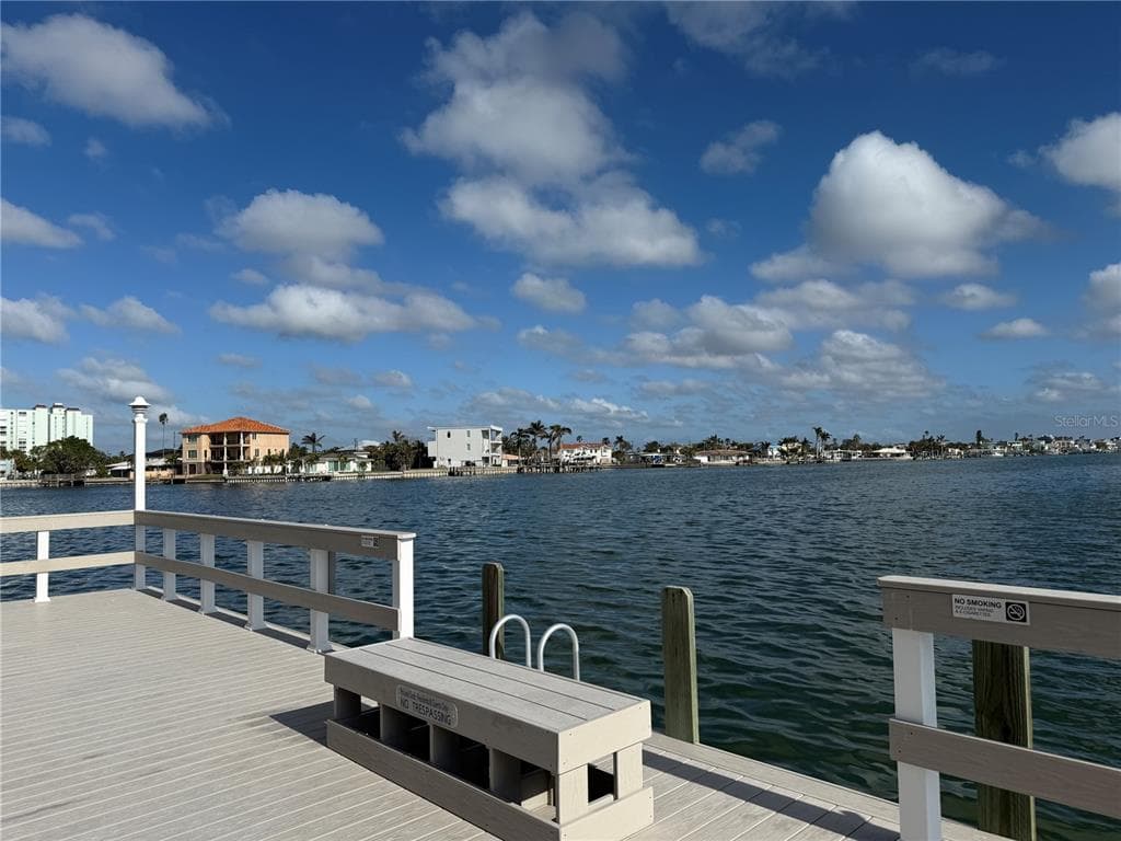 5555 GULF BOULEVARD 310 photo 4