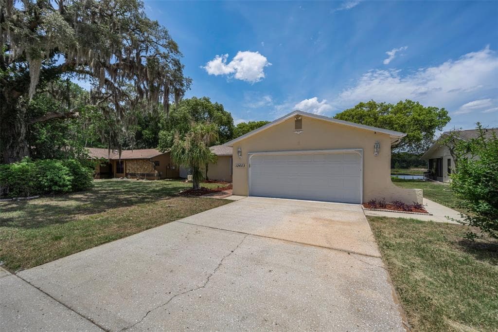 12603 PECAN TREE DRIVE photo 2