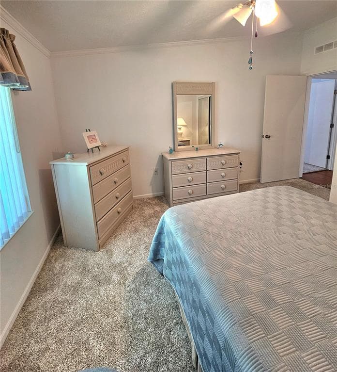 29 BRINK AVENUE photo 15