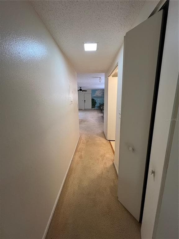 4403 7TH STREET E 7 photo 24