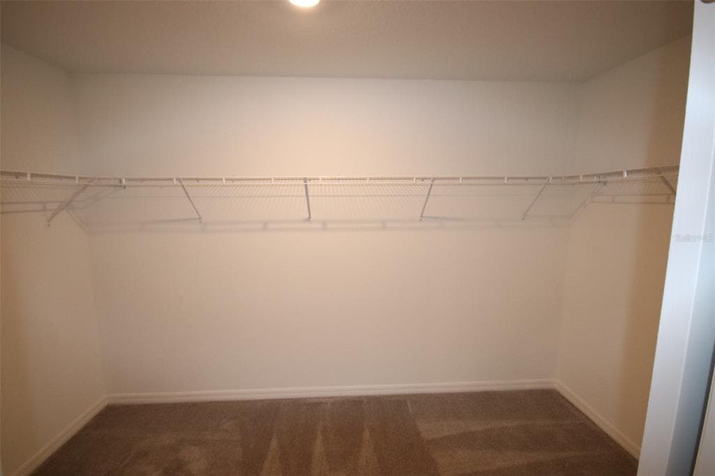 10347 ALDER GREEN DRIVE photo 16