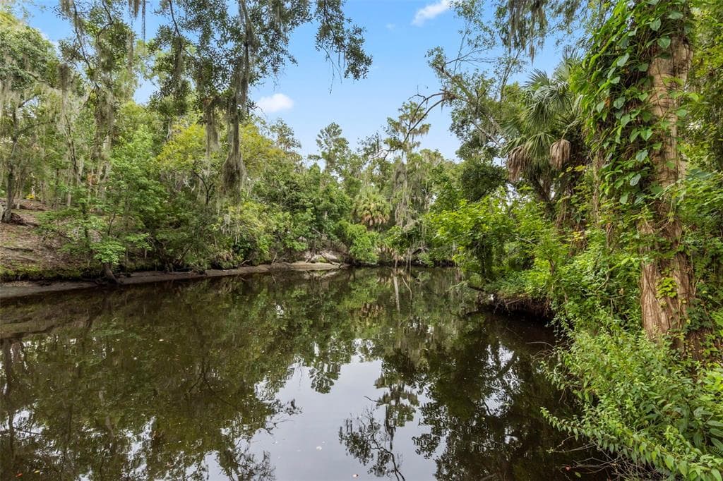 8312 REVELS ROAD photo 7
